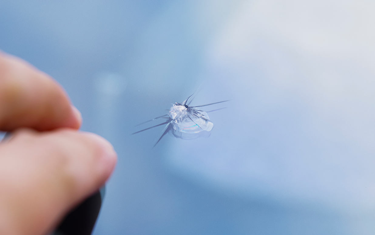 飛び石キズ修理